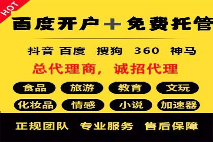 深入解析SEM竞价托管的成功案例